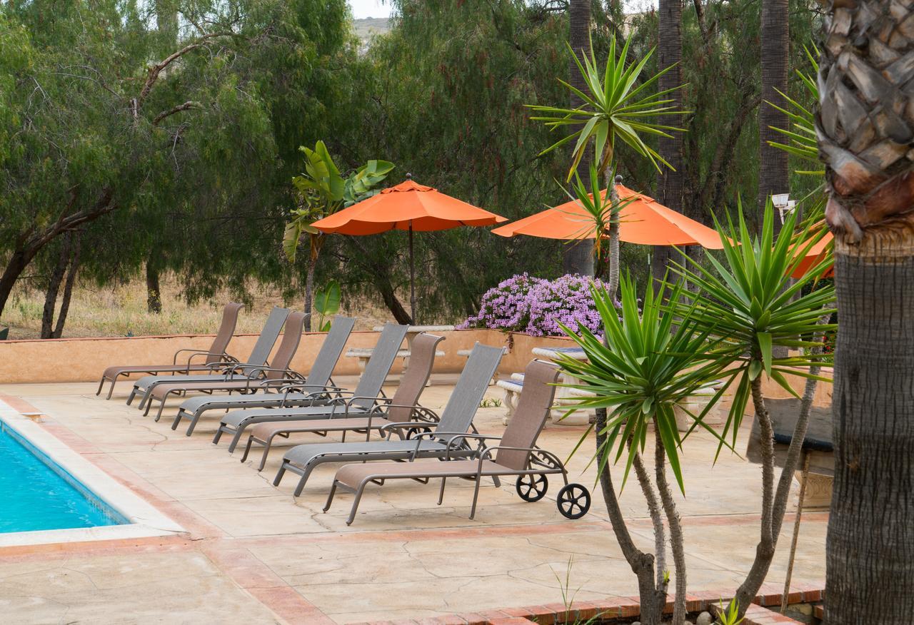 Horsepower Ranch Hotel Ensenada Ngoại thất bức ảnh